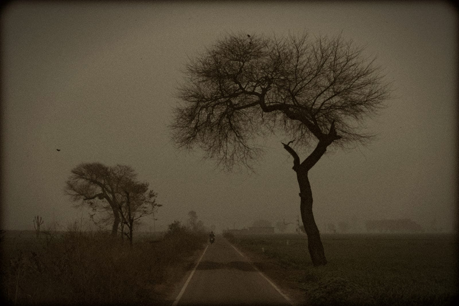 A quiet road through open farmland in Punjab